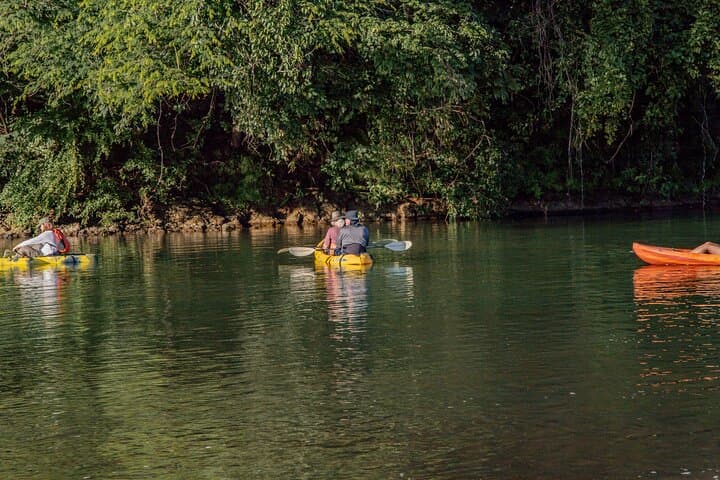Mangrove River Kayak Tour Samara and Carrillo — Río Ora Wildlife Paddle photo 3