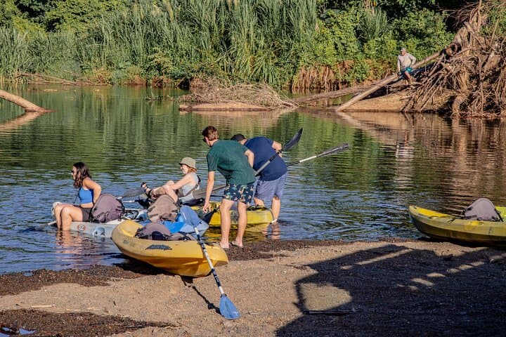 Mangrove River Kayak Tour Samara and Carrillo — Río Ora Wildlife Paddle photo 4