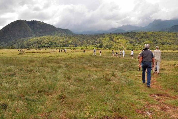 Arusha National Park Walking Safari & Game Drive — Momella Lakes to Ngurdoto Crater photo 1
