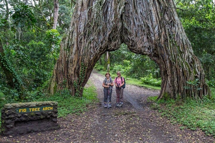 Arusha National Park Walking Safari & Game Drive — Momella Lakes to Ngurdoto Crater photo 2
