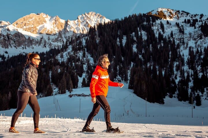 Private Ski Lessons and Winter Activities in Gstaad & Rougemont photo 5