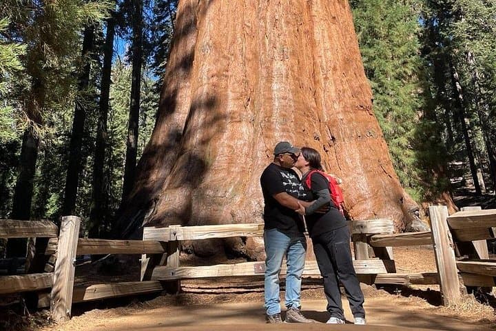 Private Los Angeles to Yosemite & Sequoia: 2-Day Guided National Park Tour photo 3