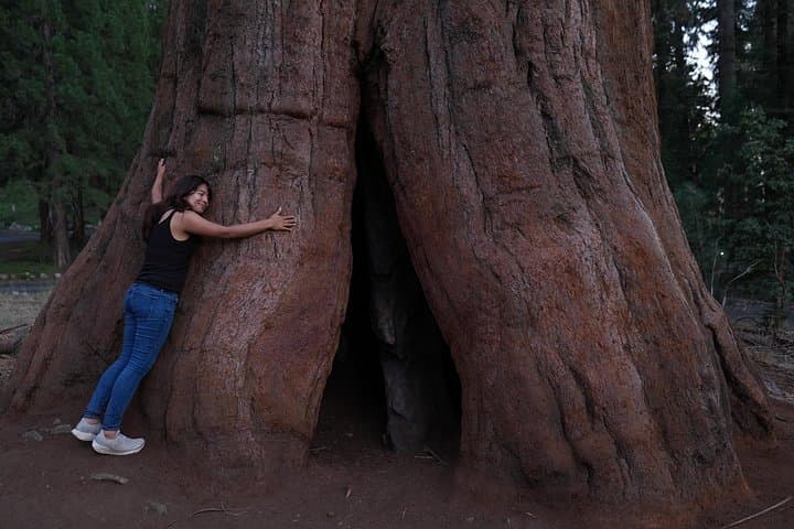 Private Los Angeles to Yosemite & Sequoia: 2-Day Guided National Park Tour photo 2