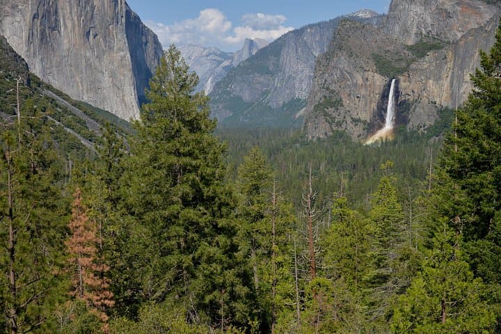 Private Los Angeles to Yosemite & Sequoia: 2-Day Guided National Park Tour photo 4