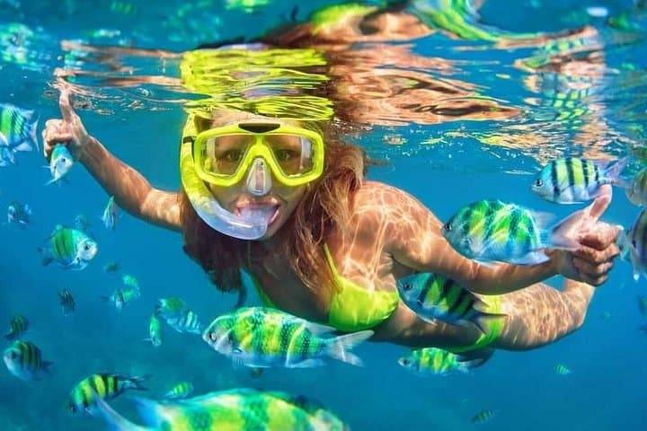 Grand Turk Snorkeling & Boat Tour — 2-Hour Reef Adventure with Local Captain photo 5