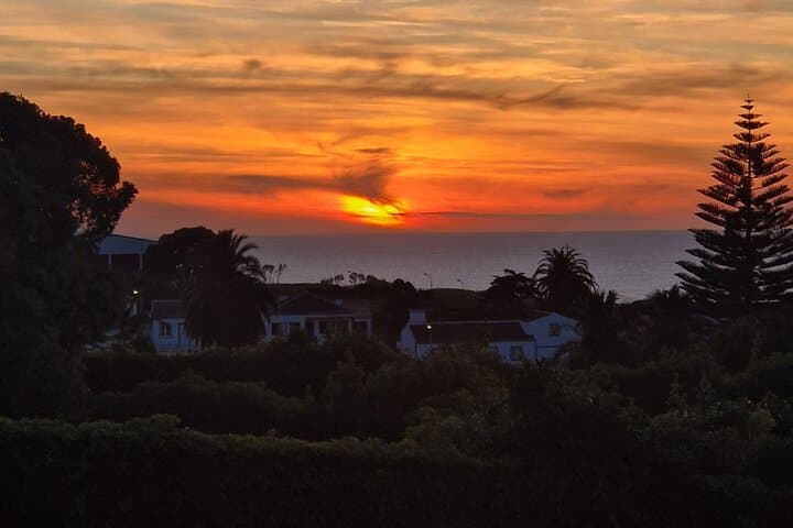 Private Sunset Dinner with Live Music Overlooking Praia da Vitória