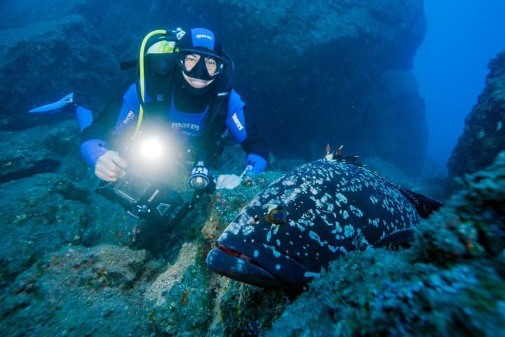 Private Madeira Scuba: Ponta de São Lourenço Two‑Dive Experience