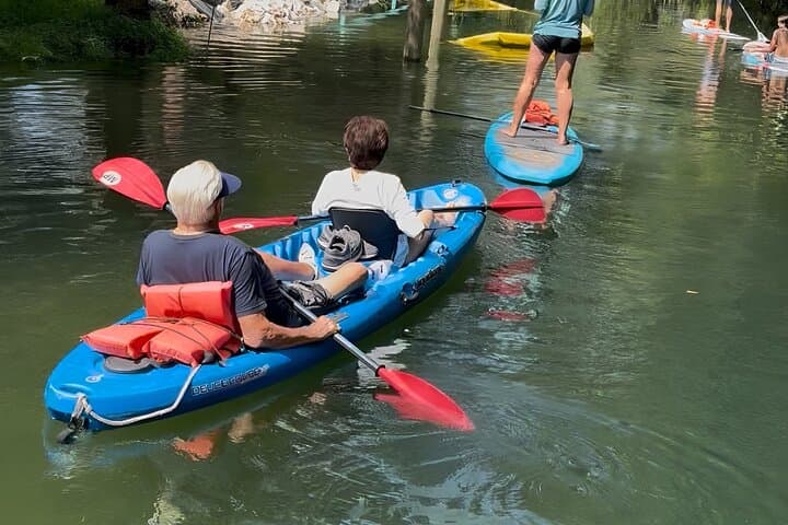 Crystal River Tandem Kayak Rental — 3-Hour Manatee Viewing in King's Bay photo 2