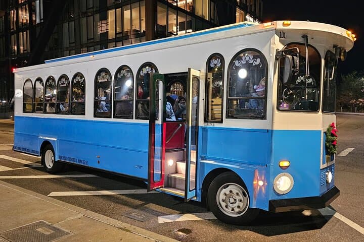 Dyker Heights Christmas Lights Trolley Tour from Manhattan
