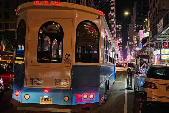 Dyker Heights Christmas Lights Trolley Tour from Manhattan photo 2