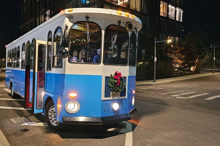Dyker Heights Christmas Lights Trolley Tour from Manhattan photo 3
