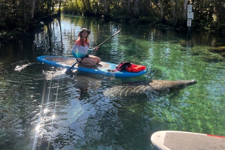 Crystal River 4-Hour Paddle Board Rental — Paddle with Manatees at King's Bay