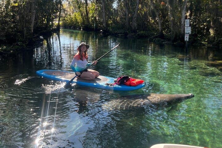Crystal River Paddle Board Rental — 3-Hour Manatee Viewing on King’s Bay photo 2