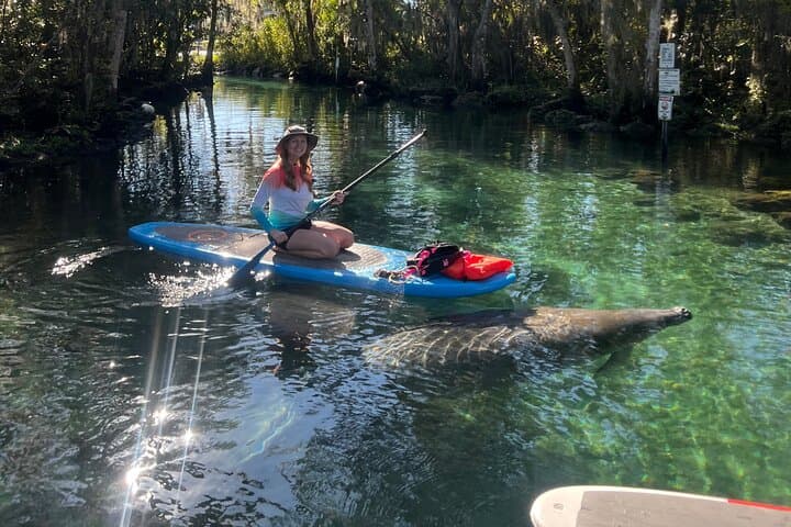 Crystal River 2-Hour Paddle Board Rental — King's Bay Manatee Viewing photo 2