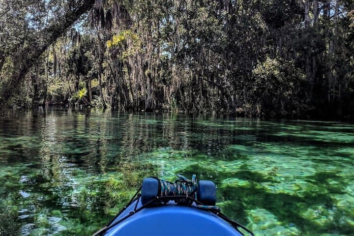 Crystal River Kayak Rental: 4-Hour King's Bay Paddle with Manatees photo 2
