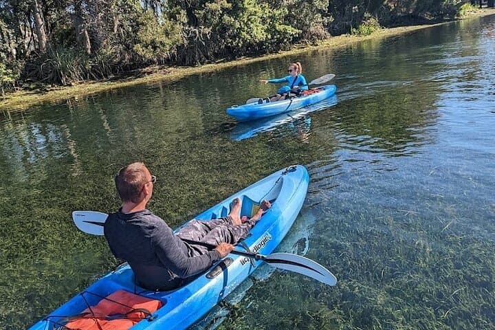 Crystal River Kayak Rental: 3-Hour King's Bay Paddle with Manatee Viewing photo 4