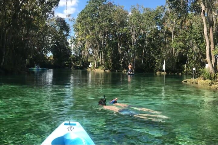 Crystal River Kayak Rental: 4-Hour King's Bay Paddle with Manatees photo 6
