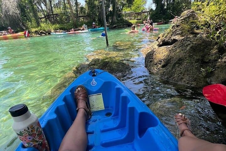 Crystal River Kayak Rental: 3-Hour King's Bay Paddle with Manatee Viewing photo 5