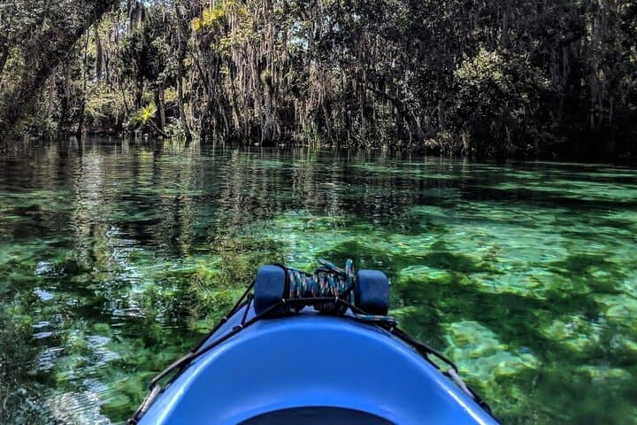 Crystal River Tandem Kayak Rental — 3-Hour Manatee Viewing in King's Bay photo 3