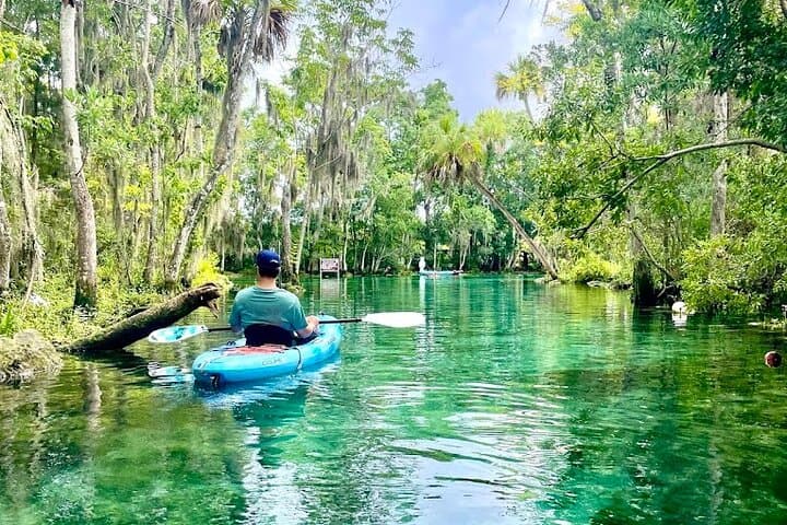 Crystal River Kayak Rental: 3-Hour King's Bay Paddle with Manatee Viewing