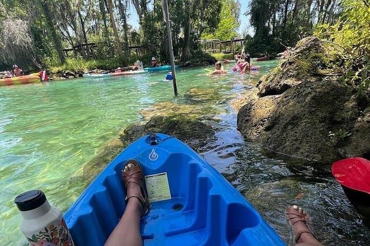 Crystal River Kayak Rental: 2-Hour Paddle to See Manatees at King’s Bay photo 3