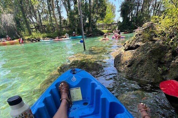 Crystal River Tandem Kayak Rentals: 4-Hour Manatee Viewing on King’s Bay photo 5