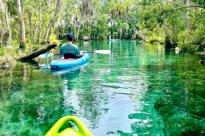 Crystal River Tandem Kayak Rentals: 4-Hour Manatee Viewing on King’s Bay photo 6