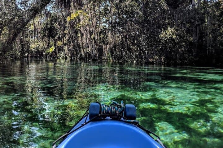 Crystal River Tandem Kayak Rentals: 4-Hour Manatee Viewing on King’s Bay photo 3