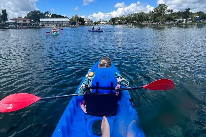 Crystal River Tandem Kayak Rental: Paddle King's Bay and See Manatees in 2 Hours photo 3