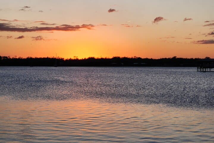 Eco Manatee and Wildlife Boat Tour — Crystal River Dry-Boat Viewing at Fort Island Trail photo 3