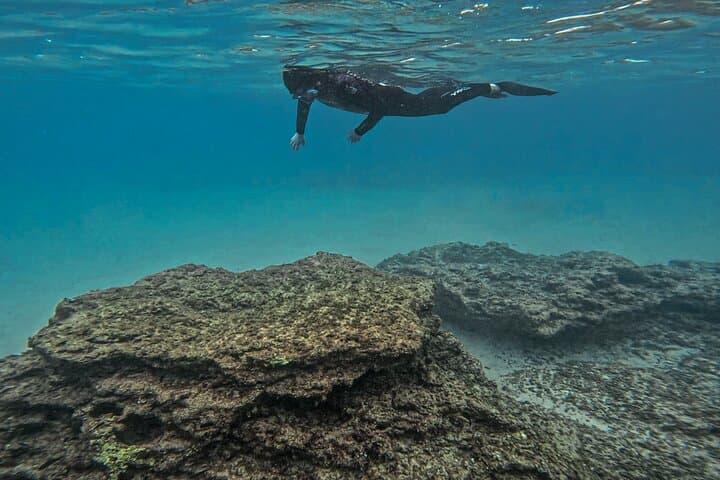 Malta & Gozo Hidden Snorkel Tour — Local Guide, Photos Included photo 5