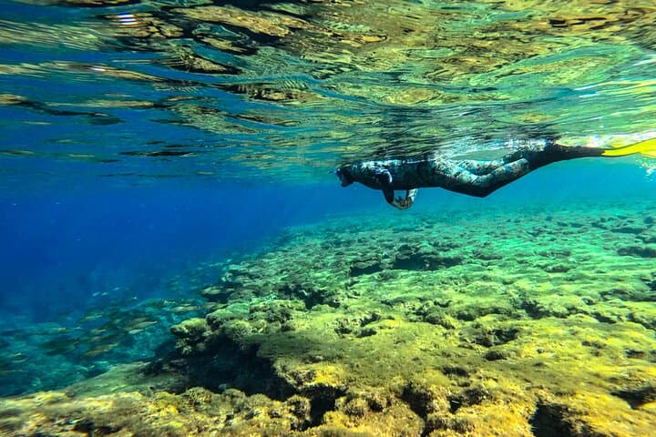 Malta & Gozo Hidden Snorkel Tour — Local Guide, Photos Included photo 6