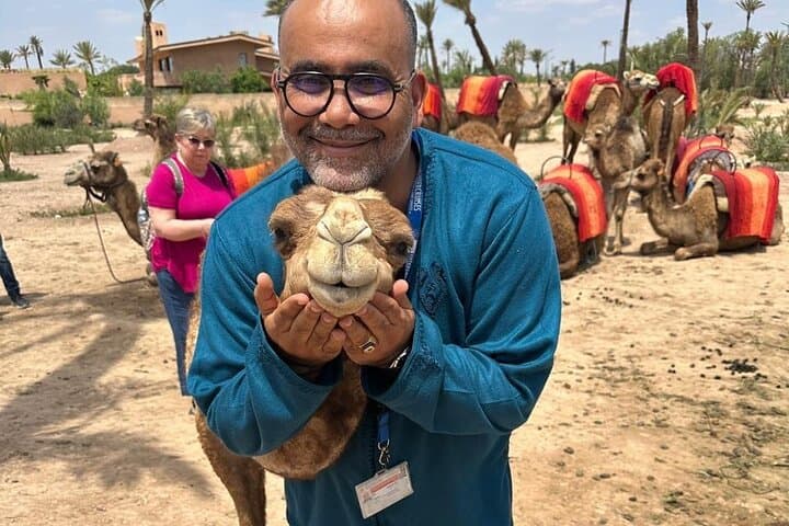 Marrakech Day Trip from Casablanca: Private Guided Tour with Palm-Grove Camel Ride photo 6