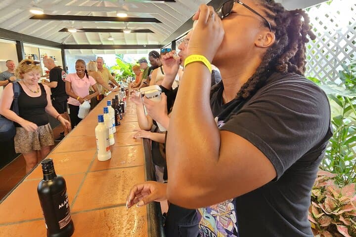 St Lucia Rum Distillery Tour & Sulphur Springs Mud Bath Excursion — Soufrière Day Trip