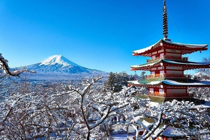 Mt. Fuji & Lake Kawaguchiko One-Day Bus Tour from Tokyo — Chureito Pagoda, Oishi Park & Saiko Village photo 2