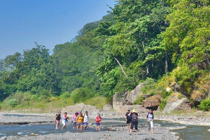 Gohri Range Hike to Vindhyawasini Temple — Rajaji National Park Day Trek from Rishikesh photo 2