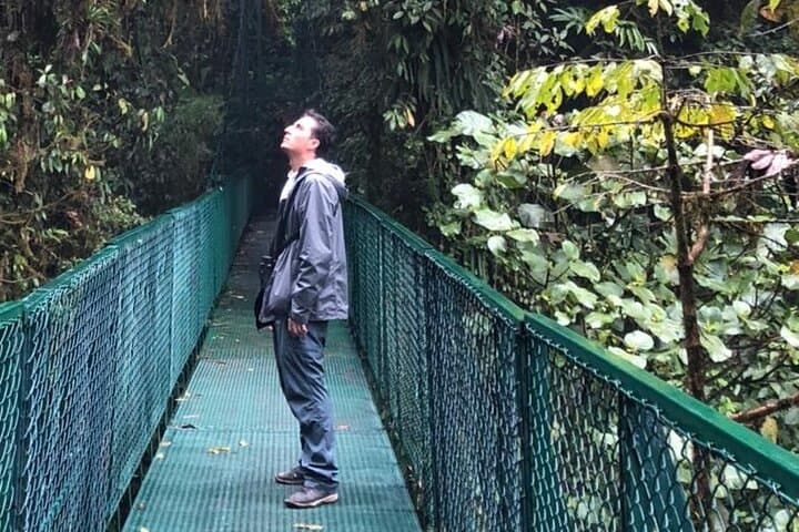Curicancha Monteverde Nature Walk: Guided Cloud Forest Wildlife Tour photo 5