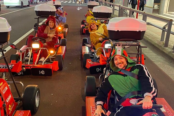 Drive Akihabara: Night Go-Kart and Guided Anime & Gaming Tour photo 6