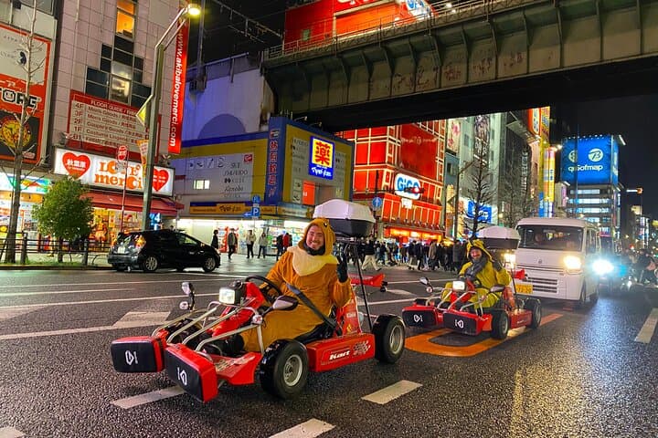 Drive Akihabara: Night Go-Kart and Guided Anime & Gaming Tour