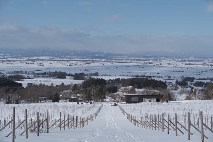 Maoi Hill Snowshoeing — Private Winter Terrace Overlooking the Ishikari Plain photo 2