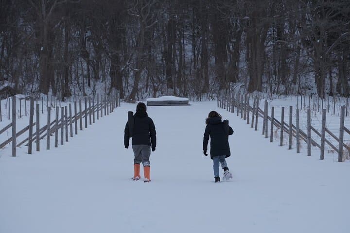 Maoi Hill Snowshoeing — Private Winter Terrace Overlooking the Ishikari Plain photo 5