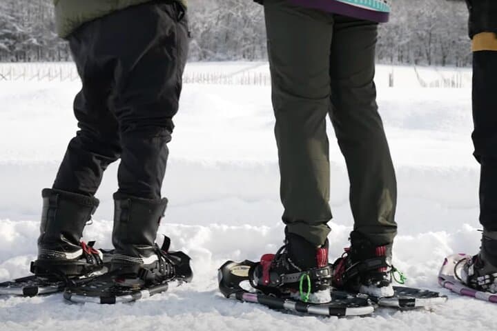 Maoi Hill Snowshoeing — Private Winter Terrace Overlooking the Ishikari Plain photo 6