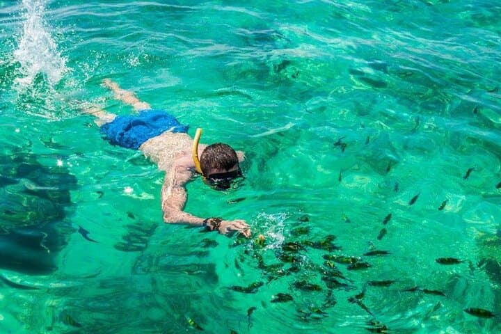 Phi Phi Islands Speedboat Day Trip from Phuket: Pileh Lagoon, Maya Bay & Snorkeling photo 3