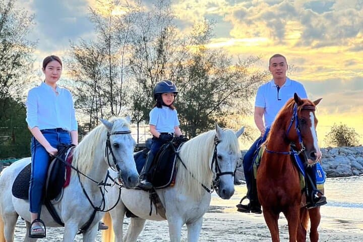 Hua Hin Beach & Forest Horseback Rides — Coastal and Trail Equestrian Adventures photo 2