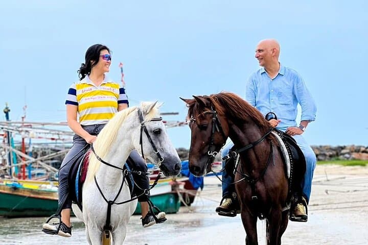 Hua Hin Beach & Forest Horseback Rides — Coastal and Trail Equestrian Adventures photo 1