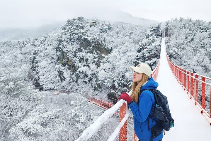 DMZ 3rd Tunnel Tour from Seoul — Suspension Bridge & Imjin River Options