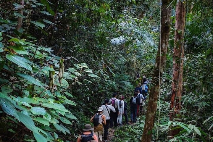 5-Day Sarawak Adventure: Bako, Bengoh & Batang Ai Longhouse Experience