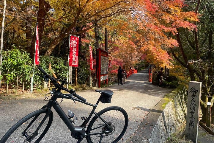Private E‑Bike Tour of Old Kyoto: Temples, Riverside Paths & Hidden Backstreets