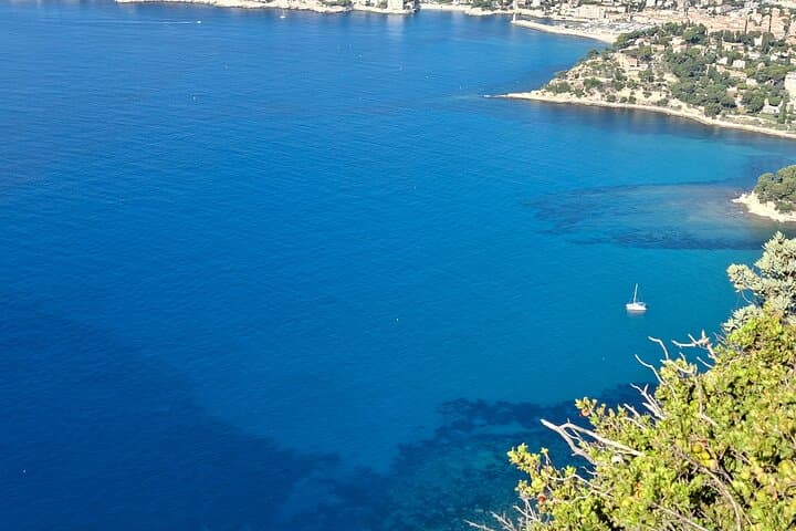 Half-Day Cassis Coastal Views & Cassis Wine Tasting from Marseille