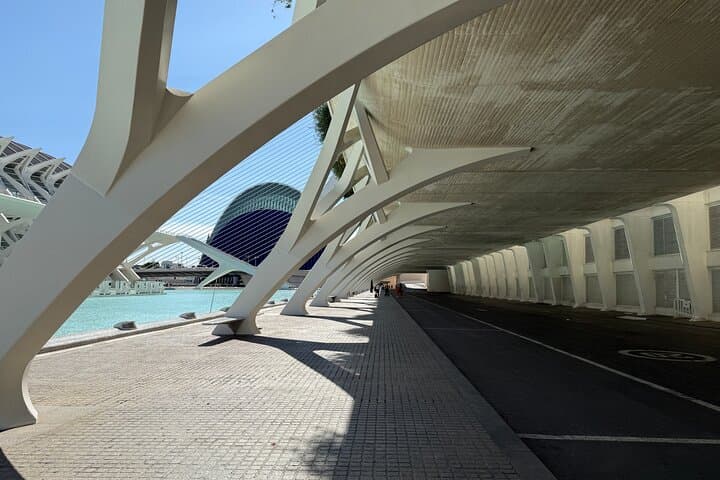 Futuristic Valencia: City of Arts & Sciences Guided Walking Tour photo 2